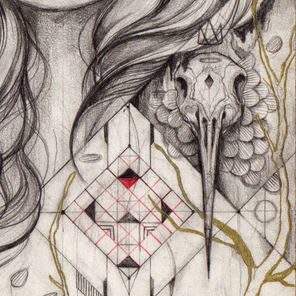 birdskull, sketch, pencil on paper, drawing, artist, illustrator, Marjolein Caljouw