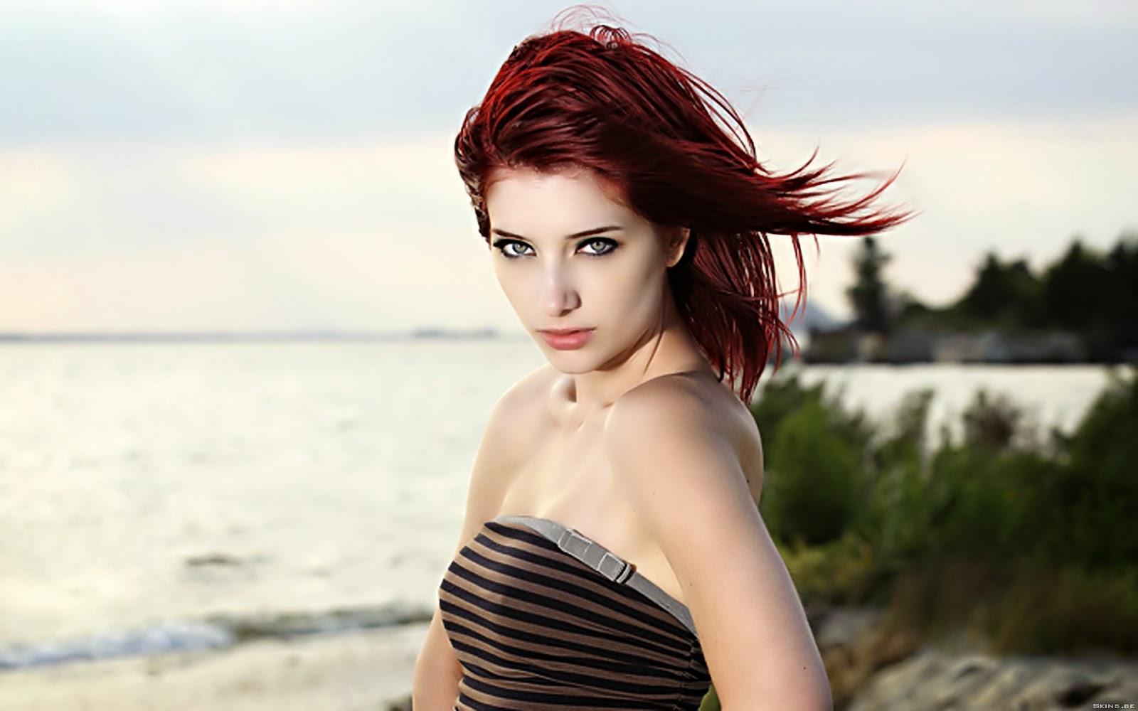 Susan Coffey HD Wallpapers - HDWallpapers360 | HD Wallpapers Free Download