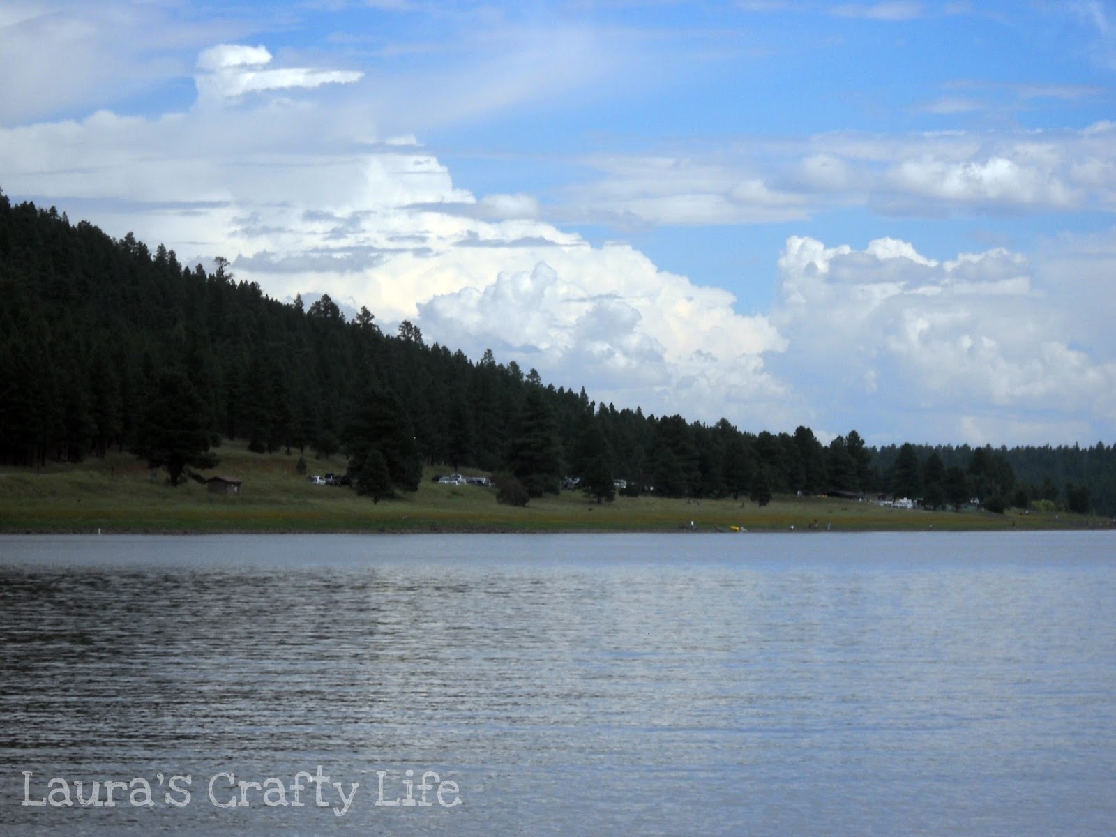 The Silva Stories Lake Mary, Arizona