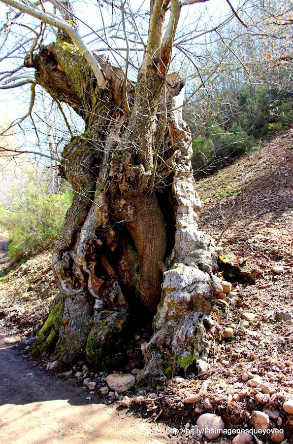 Las Médulas. Ponferrada. León. España