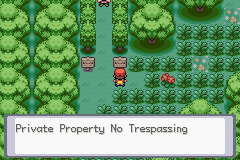 pokemon masterquest screenshot 8