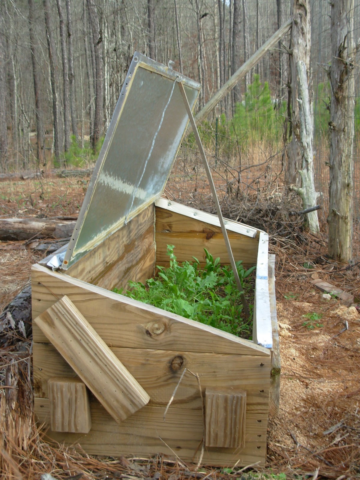 Mary Ann's Country Garden Build a Cold Frame and Harvest Vegetables