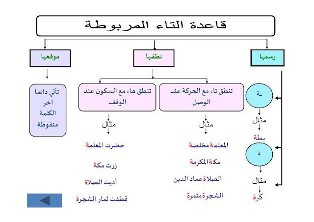 قواعد املائية مهمة جدا لطلاب ابتدائي -%2B%25D8%25B4%25D8%25B1%25D8%25AD%2B%25D9%2584%25D8%25AC%25D9%2585%25D9%258A%25D8%25B9%2B%25D8%25A7%25D9%2584%25D9%2582%25D9%2588%25D8%25A7%25D8%25B9%25D8%25AF%2B%25D8%25A7%25D9%2584%25D8%25A5%25D9%2585%25D9%2584%25D8%25A7%25D8%25A6%25D9%258A%25D8%25A9%2B%25D8%25A8%25D8%25A5%25D8%25B3%25D8%25AA%25D8%25B1%25D8%25A7%25D8%25AA%25D9%258A%25D8%25AC%25D9%258A%25D8%25A9%2B%25D8%25AE%25D8%25B1%25D8%25A7%25D8%25A6%25D8%25B7%2B%25D8%25A7%25D9%2584%25D9%2585%25D9%2581%25D8%25A7%25D9%2587%25D9%258A%25D9%2585--%2B%25D8%25A8%25D9%258A%25D9%2588%25D9%2585%25D9%2589%2B%25281%2529