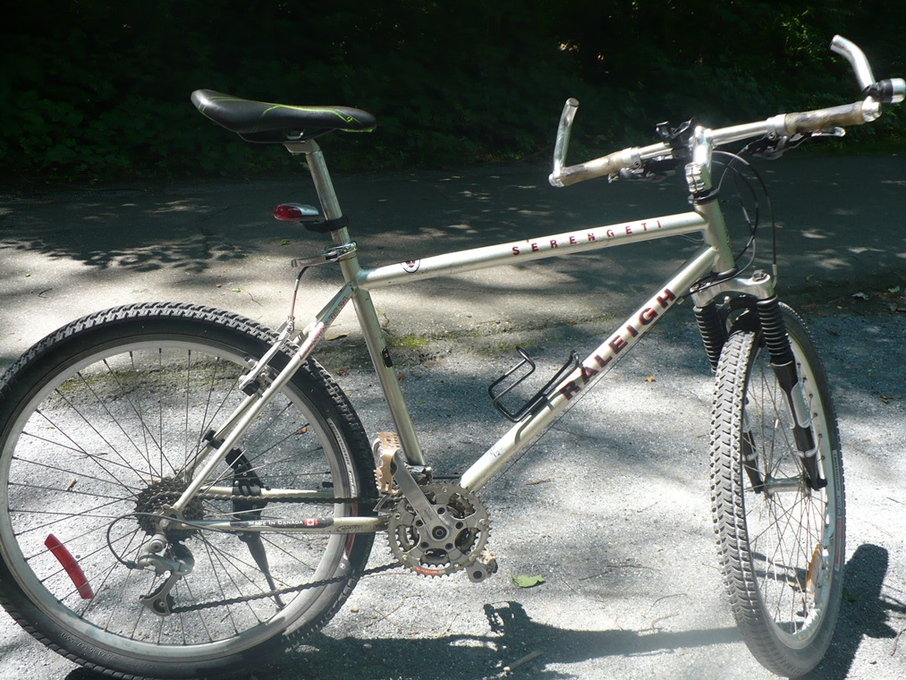 raleigh serengeti mountain bike