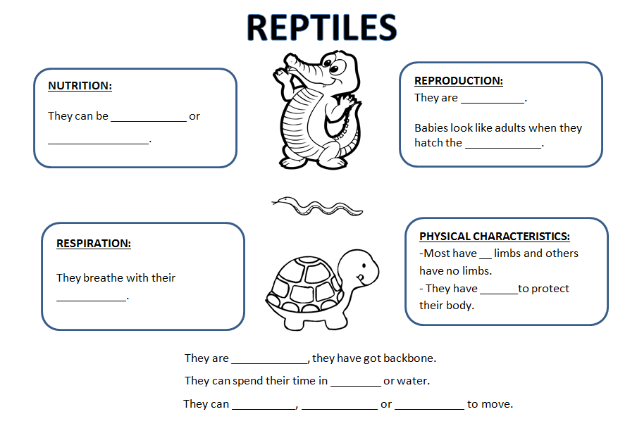 Teaching and learning