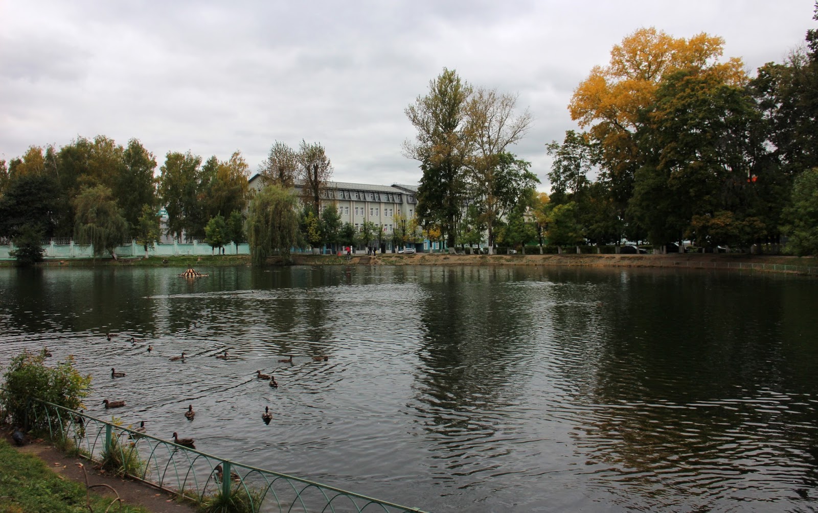 Парк костино в королеве