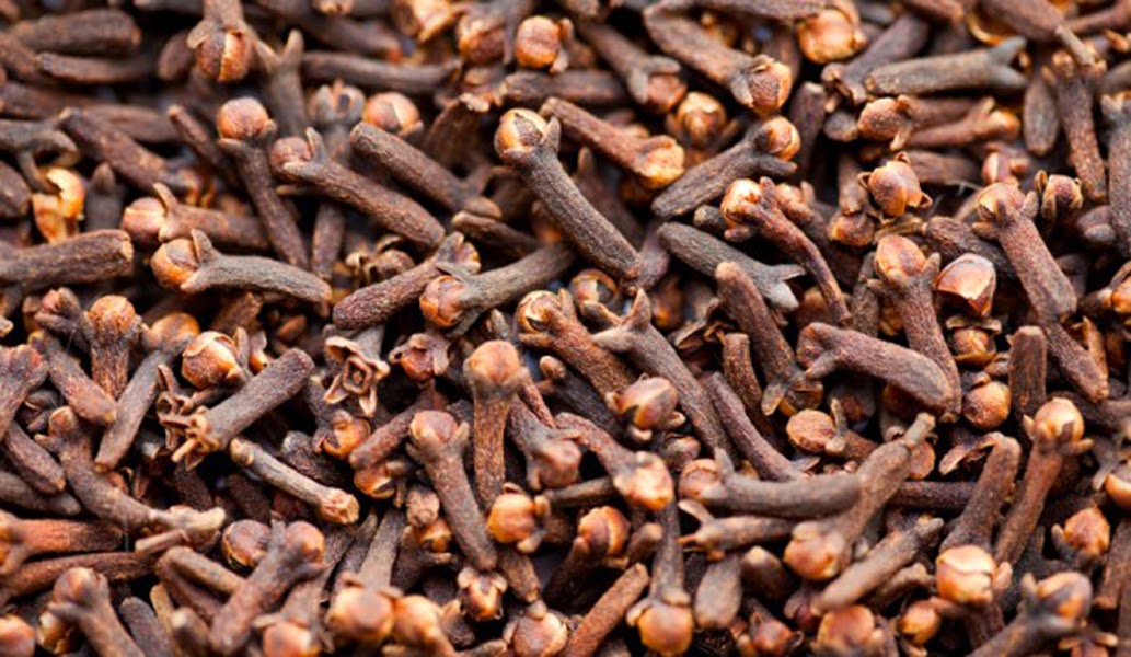 Rishi Ayurveda Hospital and Research Centre Heath benefits of clove