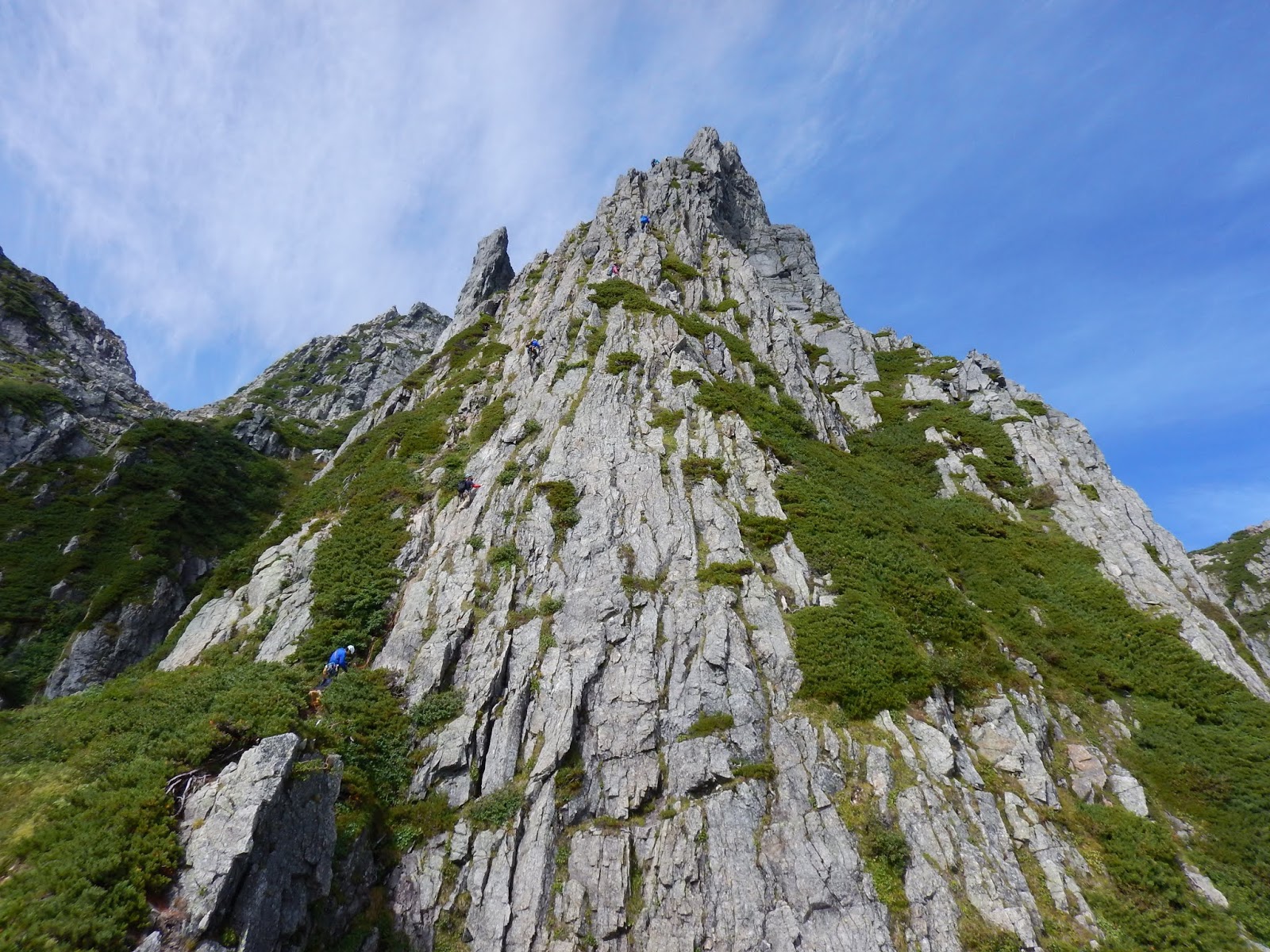 チンネの夏休み