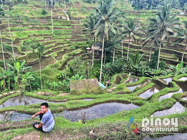 TOP BEST THINGS TO DO IN BALI INDONESIA