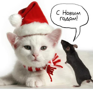 2016 happy new year in russia images photos