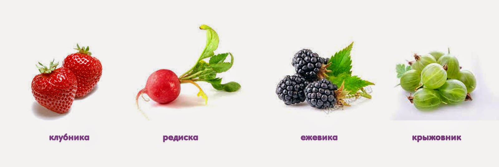 Что можно делать на букву д. Смотреть фото Что можно делать на букву д. Смотреть картинку Что можно делать на букву д. Картинка про Что можно делать на букву д. Фото Что можно делать на букву д