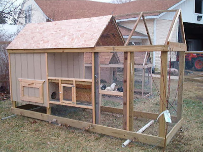 Chicken House Plans: Chicken Coop Building Mistakes