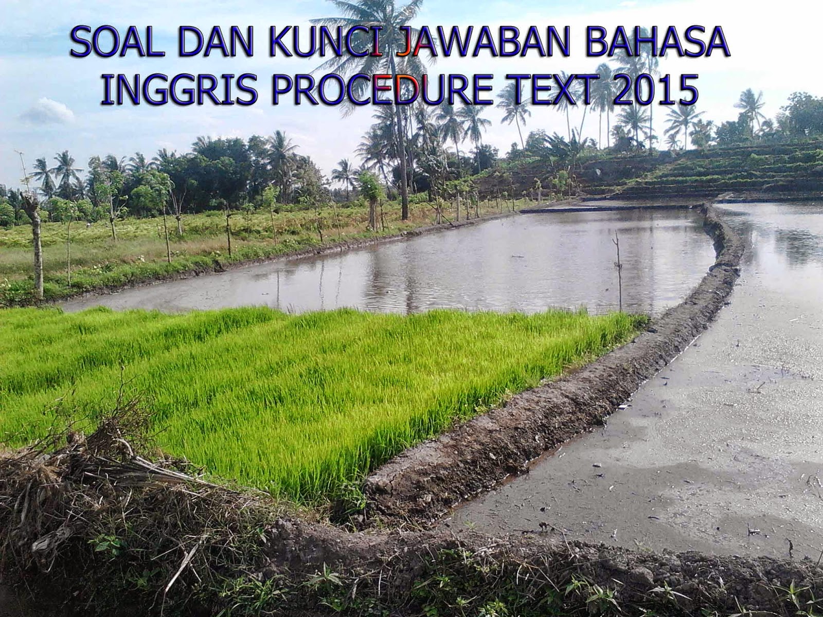 Penting 13 Contoh Soal Essay Makromolekul Beserta Jawabannya Paling Baru