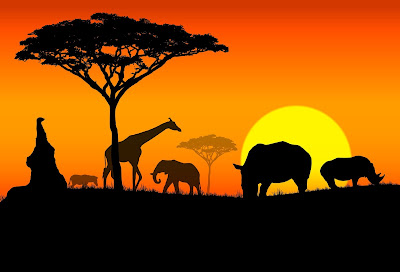 Africa At Night Africa At Night