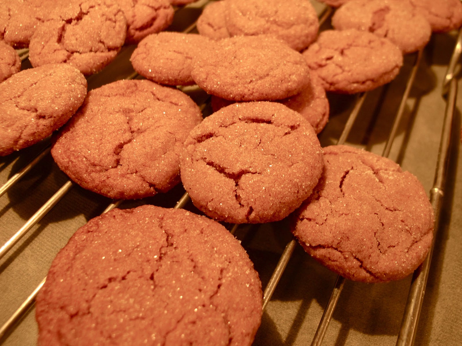 Up on Haliburton Hill Ginger cookies