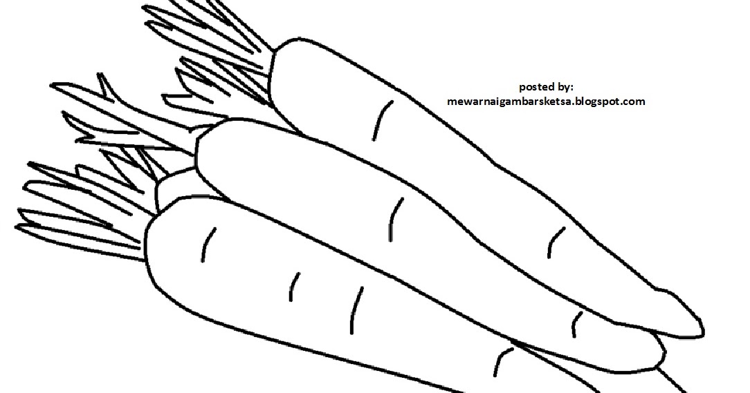 59+ Sketsa Gambar Tanaman Sayur, Inspirasi Spesial!