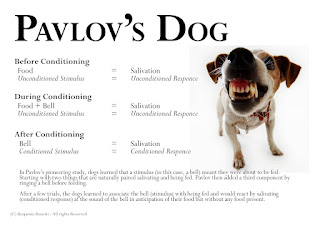 pavlov dog pavlov dog