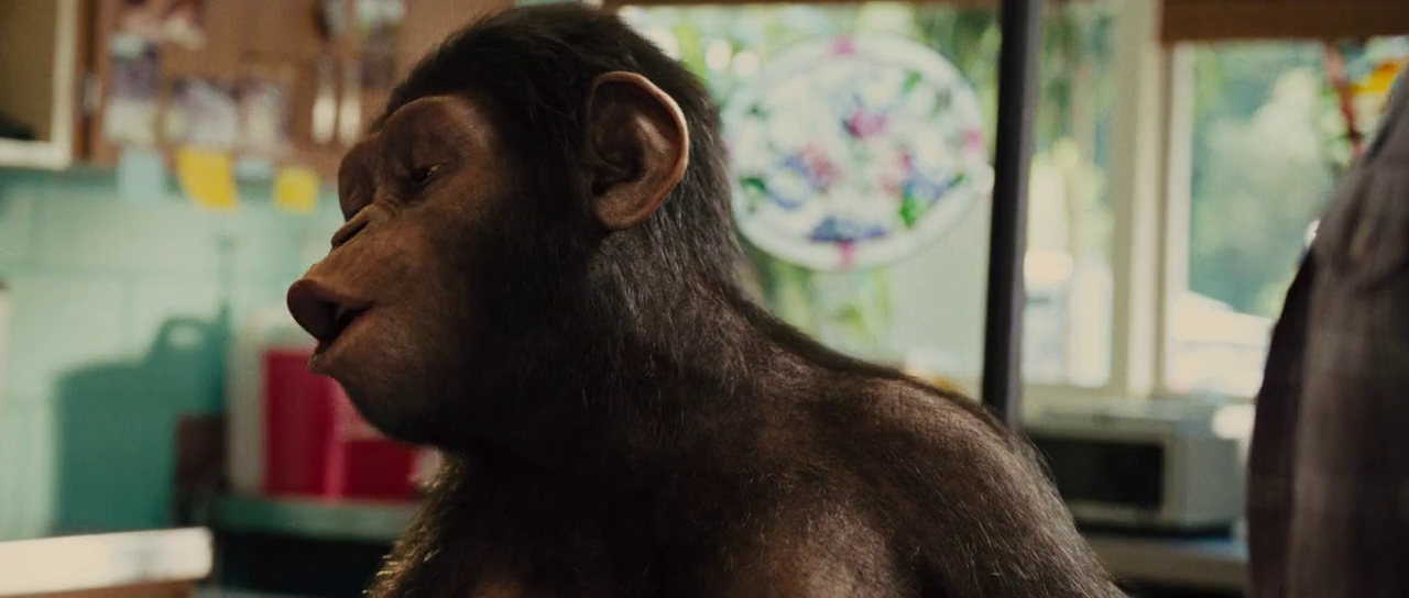 восстание обезьян мем. восстание обезьян с субтитрами. восстание обезьян с субтитрами. коба из планеты обезьян. планета обезьян революция коба.