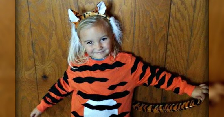 Mixed Bag Mama: Easy DIY Kids Tiger Costume