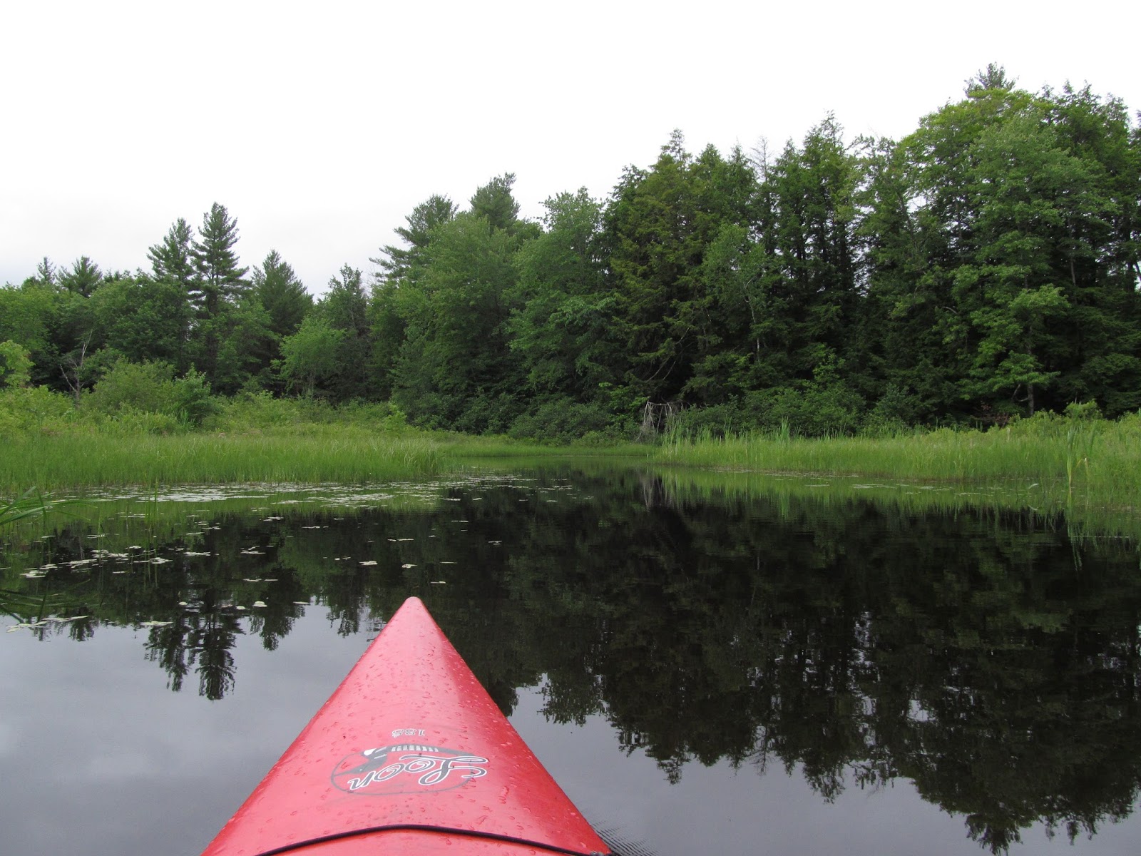Recreational Kayaking in Maine Sokokis Lake, Limerick, ME