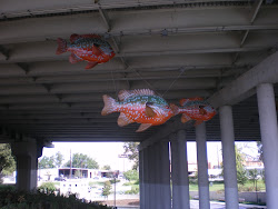 fish swim birds fly i drink 14