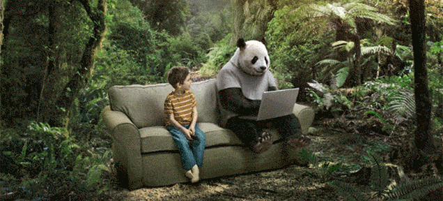 panda photoshop