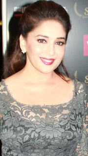 Sidarth, Madhuri , John & Dia at Saifta Awards 2013 Red Carpet 