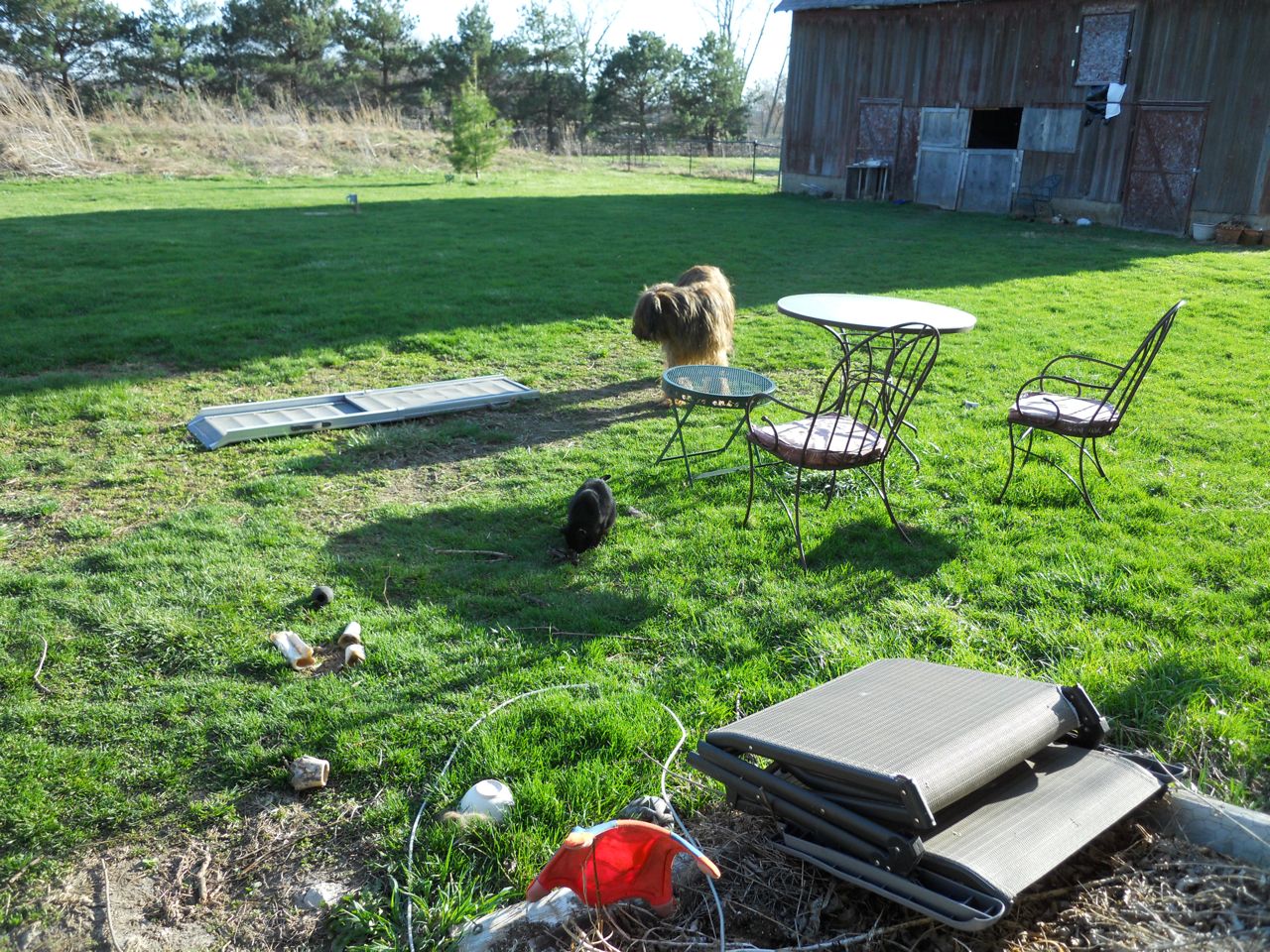 Garden Adventures For Thumbs Of All Colors June 2011