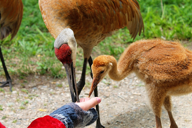 kensington metropark bike trail