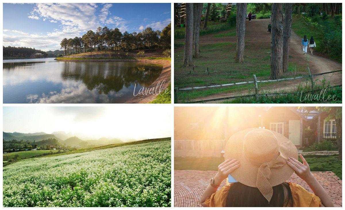Lavalle - Điên đảo với homestay lưng tựa núi VIEW CỰC ĐẸP ở Mộc Châu