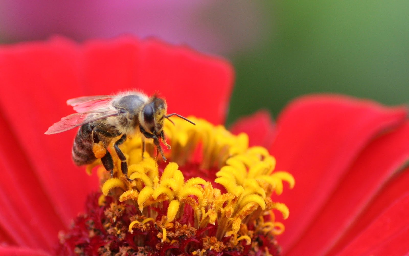 minte, trup &amp; suflet în armonie cu natura cea Divină