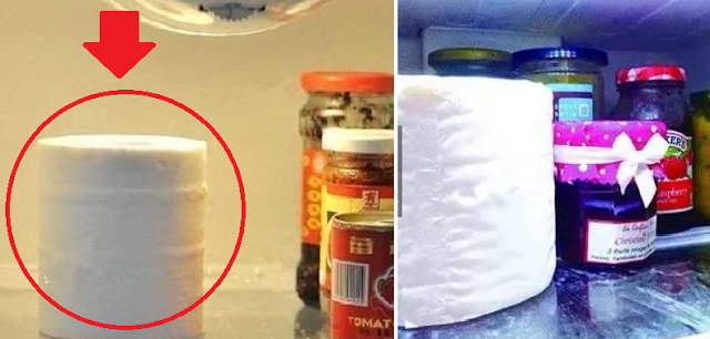 Unik, Memasukkan Tisu Kedalam Lemari Es Ternyata Ada Manfaat Luar Bisa yang Dapat Buat Kamu Tercengang !!