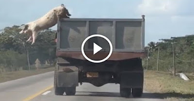 أمسك قلبك - وماتحاولش تعمل شير للفيديو ده .... سبحان الله