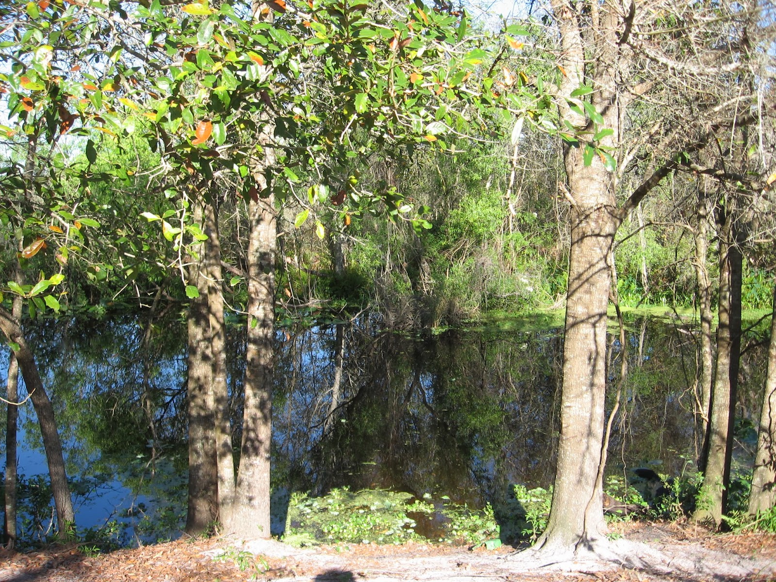 Thonotosassa Florida Baker Creek Boat Ramp on Lake Thonotosassa