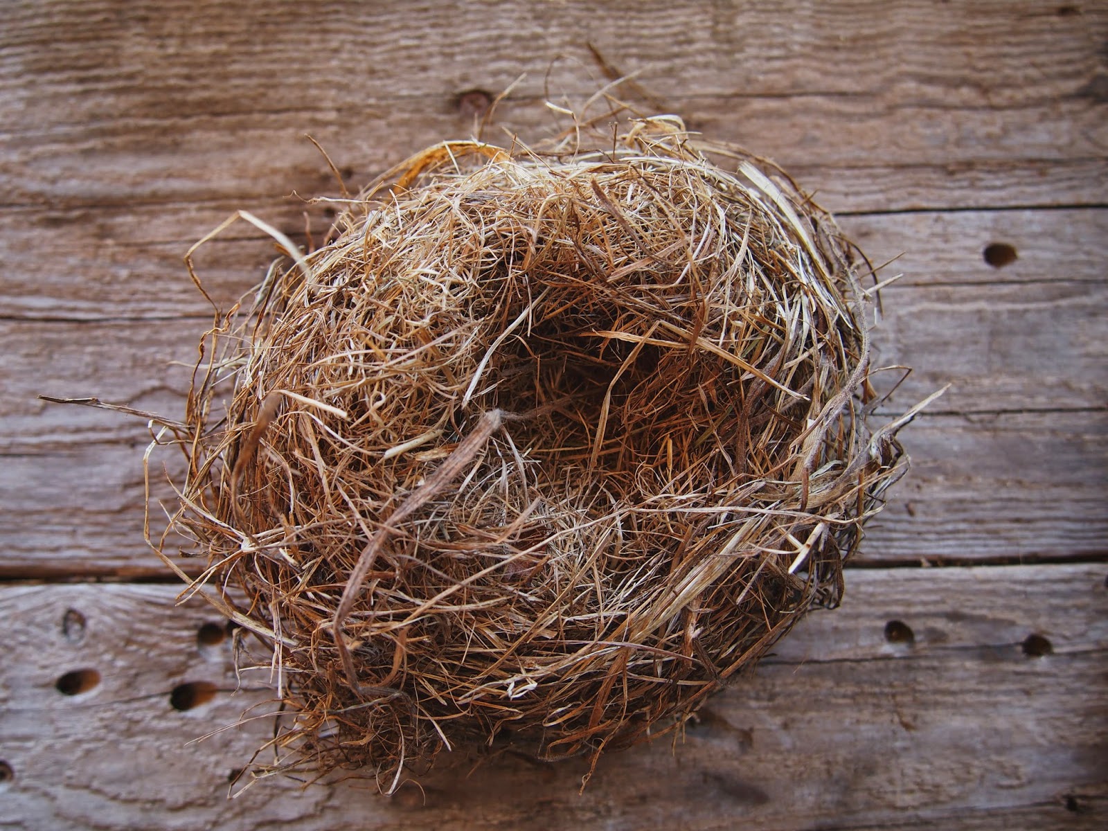 farmlass Mouse nests, moths and basketballs for pillows...
