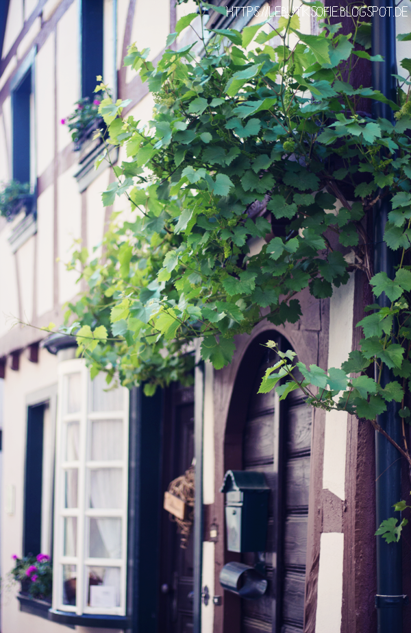 Urlaubsfeeling Im Ahrtal Sofies Haus Bloglovin