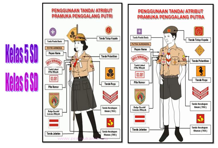 Top Info 42+ Letak Atribut Baju Pramuka Siaga