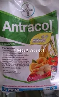 CARA MENANAM TOMAT, PESTISIDA, FUNGSIDA, JUAL BENIH TOMAT, LMGA AGRO