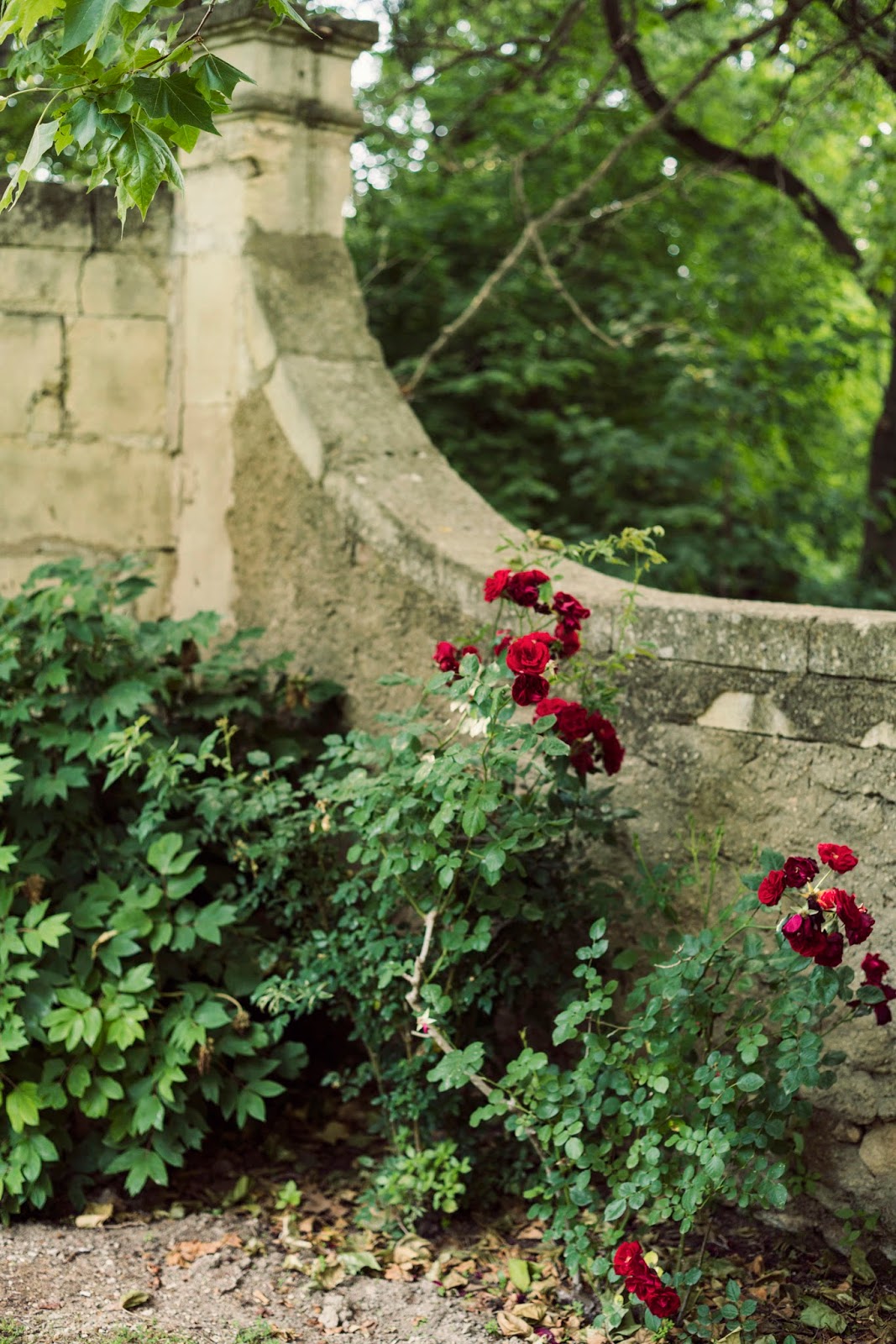 CHATEAU DES ALPILLES