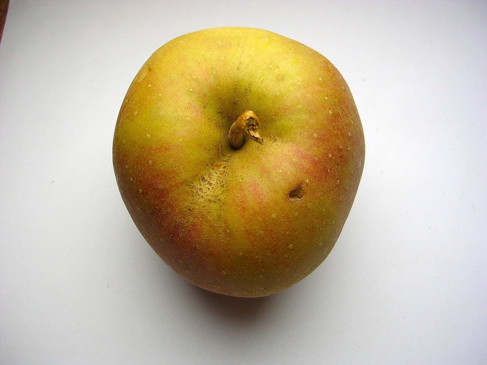 Bilder-Bibliothek: Äpfel aus Deuschland - Cox orange, Boskoop, Gala