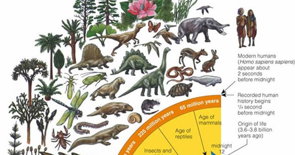 The Total Number of Species or Life Forms on Earth Vedas