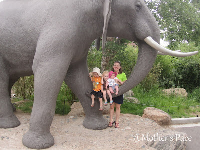 Cheyenne Mountain Zoo | A Mother's Pace