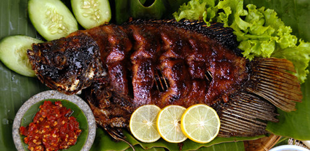 Gambar Ikan Gurami Jual Ikan Gurami Super Gambar Ikan Gurami Jual Ikan Gurami Super