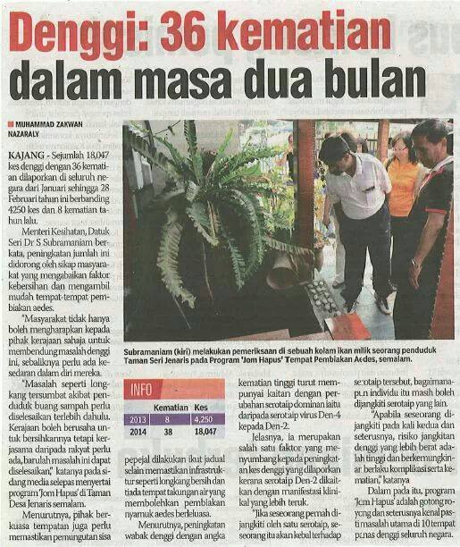 Tingkatkan Platelet Darah Dan Rawatan Per Pesakit Denggi Apafitfi Gq