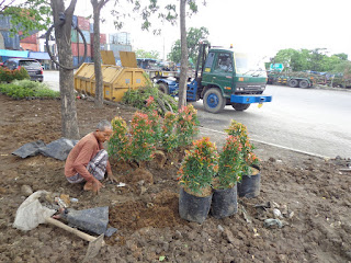 TUKANG TAMAN SURABAYA-JASATAMAN