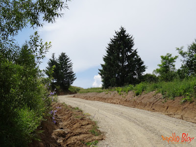 Reabilitare drum Filpea