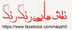 نقش ہائے رنگ رنگ - فیس بُک پر فارسی شاعری مع اردو ترجمہ