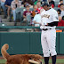 UN PERRO, EL RECOGE BATES DEL TRENTON THUNDER QUE OPACÓ A ÁLEX RODRÍGUEZ 