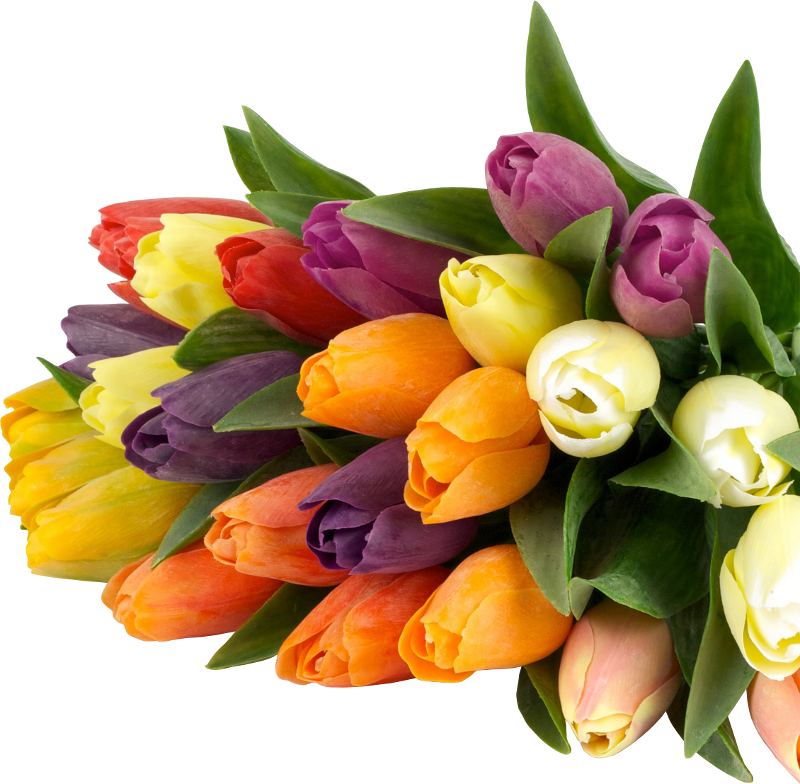 Цветы тюльпаны. Букет тюльпанов. Весенний букет. Букет разноцветных тюльпанов.