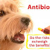  Ποια είναι τα Μειονεκτήματα των αντιβιοτικών στον σκύλο;......